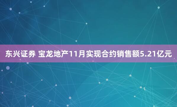 东兴证券 宝龙地产11月实现合约销售额5.21亿元