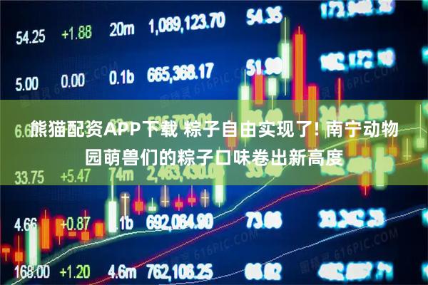 熊猫配资APP下载 粽子自由实现了! 南宁动物园萌兽们的粽子口味卷出新高度
