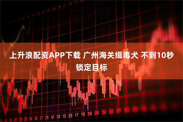 上升浪配资APP下载 广州海关缉毒犬 不到10秒锁定目标