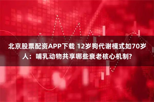 北京股票配资APP下载 12岁狗代谢模式如70岁人：哺乳动物共享哪些衰老核心机制?